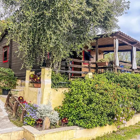 Vakantiehuis Le Terrazze Del Geco A - Slr300 By Interhome San Lorenzo al Mare